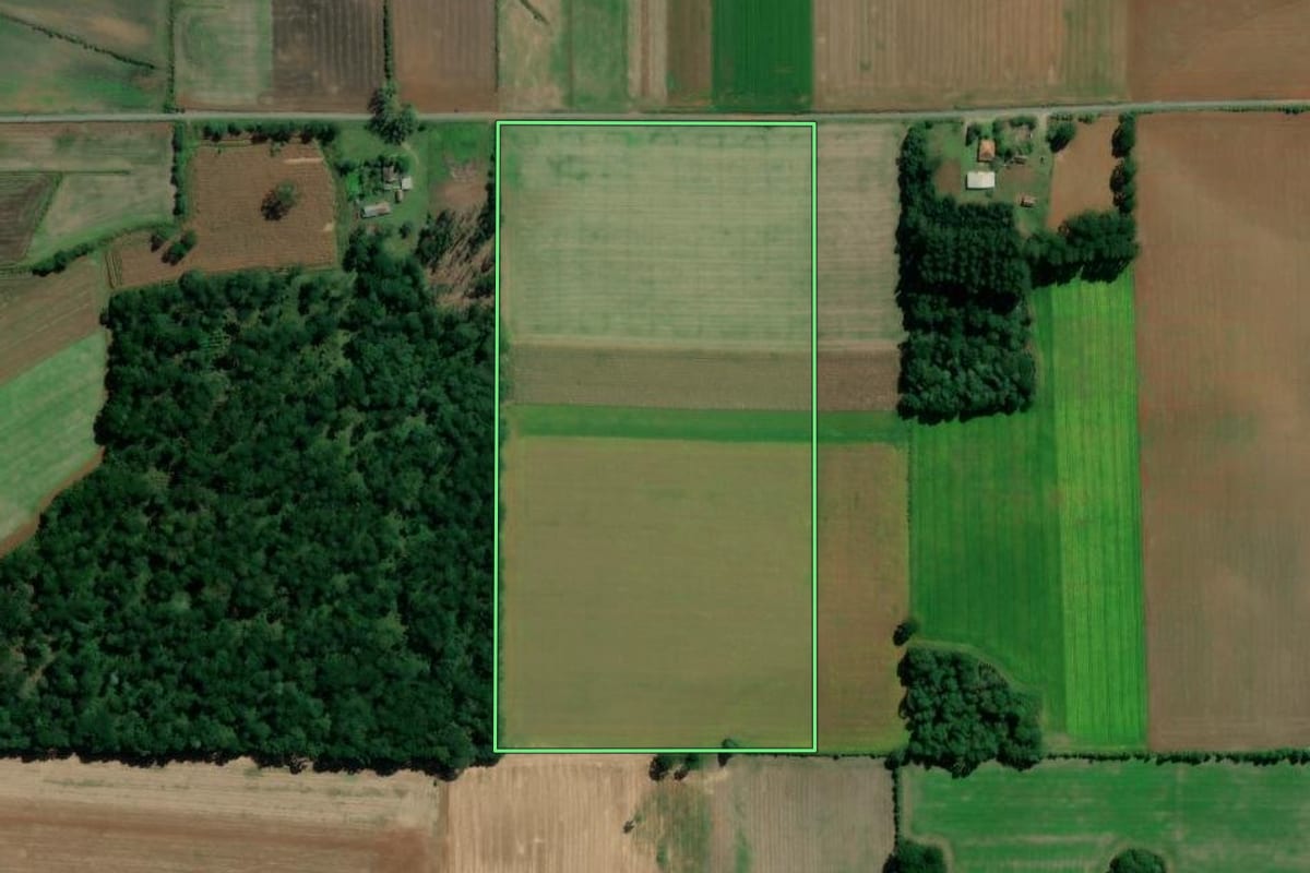 Imagem de satélite do imóvel rural em São Mateus do Sul (PR), com o contorno declarado no CAR desenhado por cima.