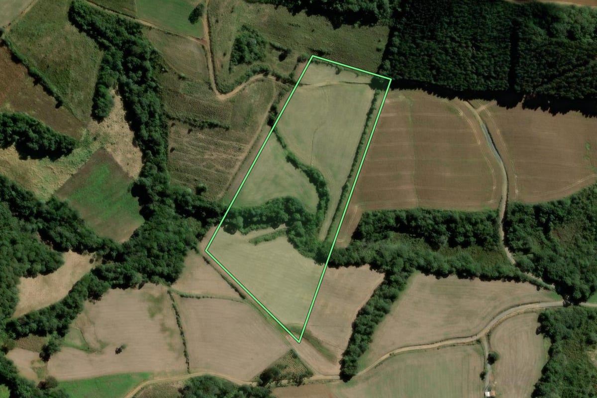 Imagem de satélite do imóvel rural em São Mateus do Sul (PR), com o contorno declarado no CAR desenhado por cima.