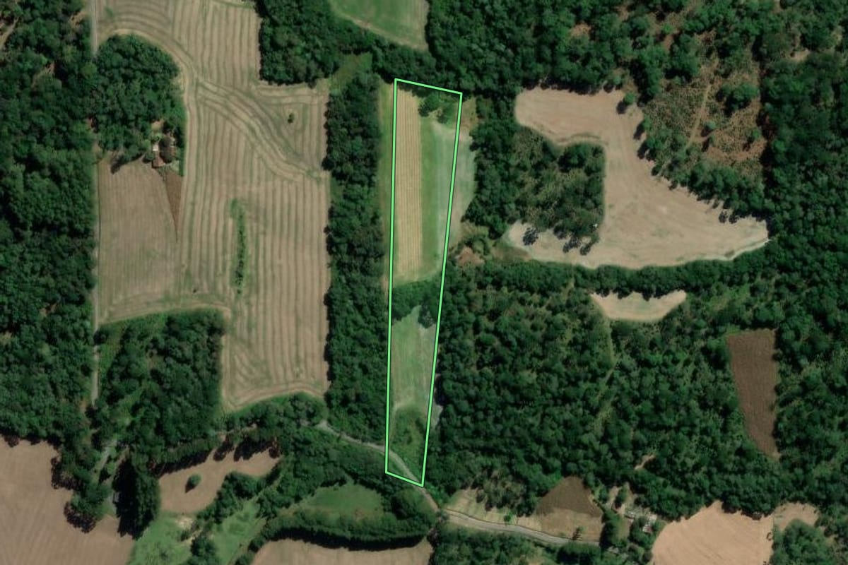 Imagem de satélite do imóvel rural em São Mateus do Sul (PR), com o contorno declarado no CAR desenhado por cima.