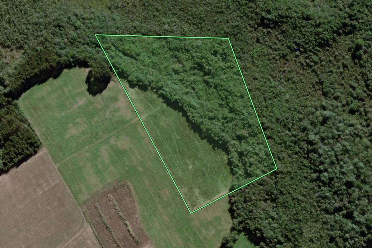 Imagem de satélite do imóvel rural em São Mateus do Sul (PR), com o contorno declarado no CAR desenhado por cima.