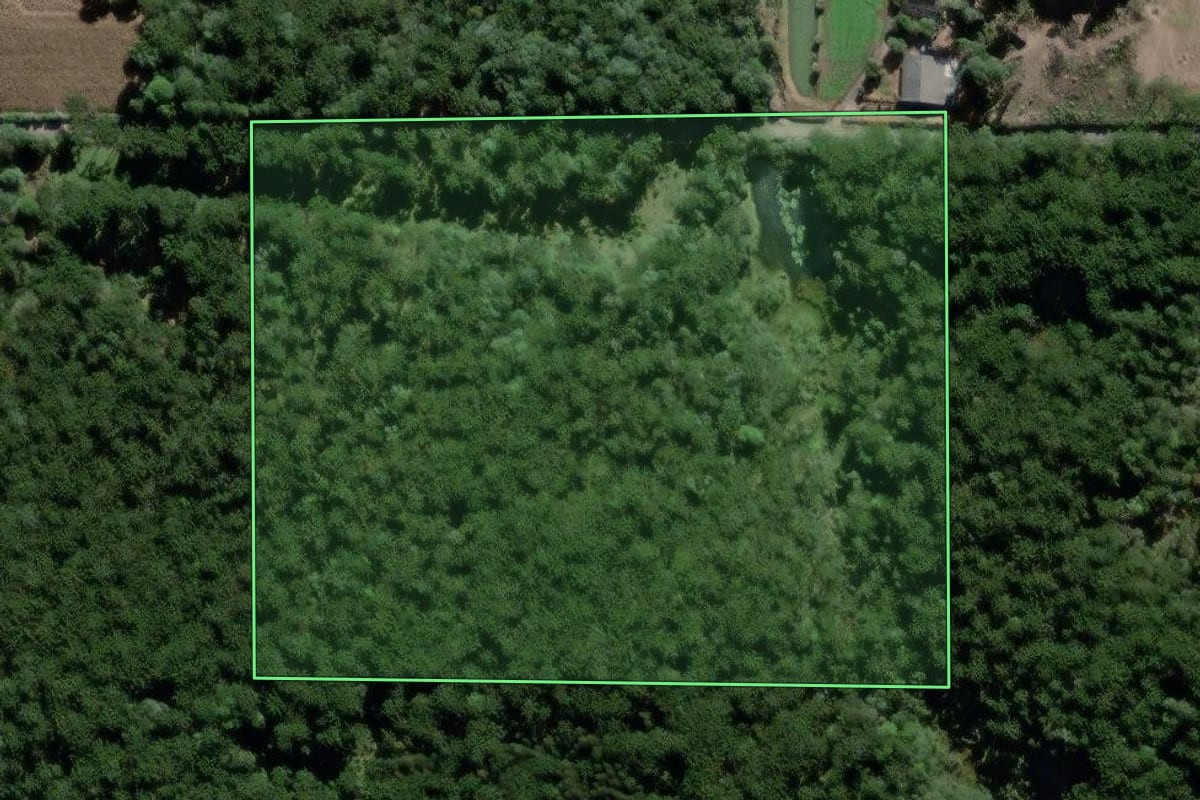 Imagem de satélite do imóvel rural em São Mateus do Sul (PR), com o contorno declarado no CAR desenhado por cima.