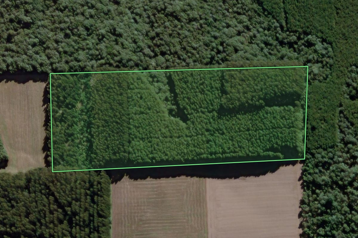 Imagem de satélite do imóvel rural em São Mateus do Sul (PR), com o contorno declarado no CAR desenhado por cima.
