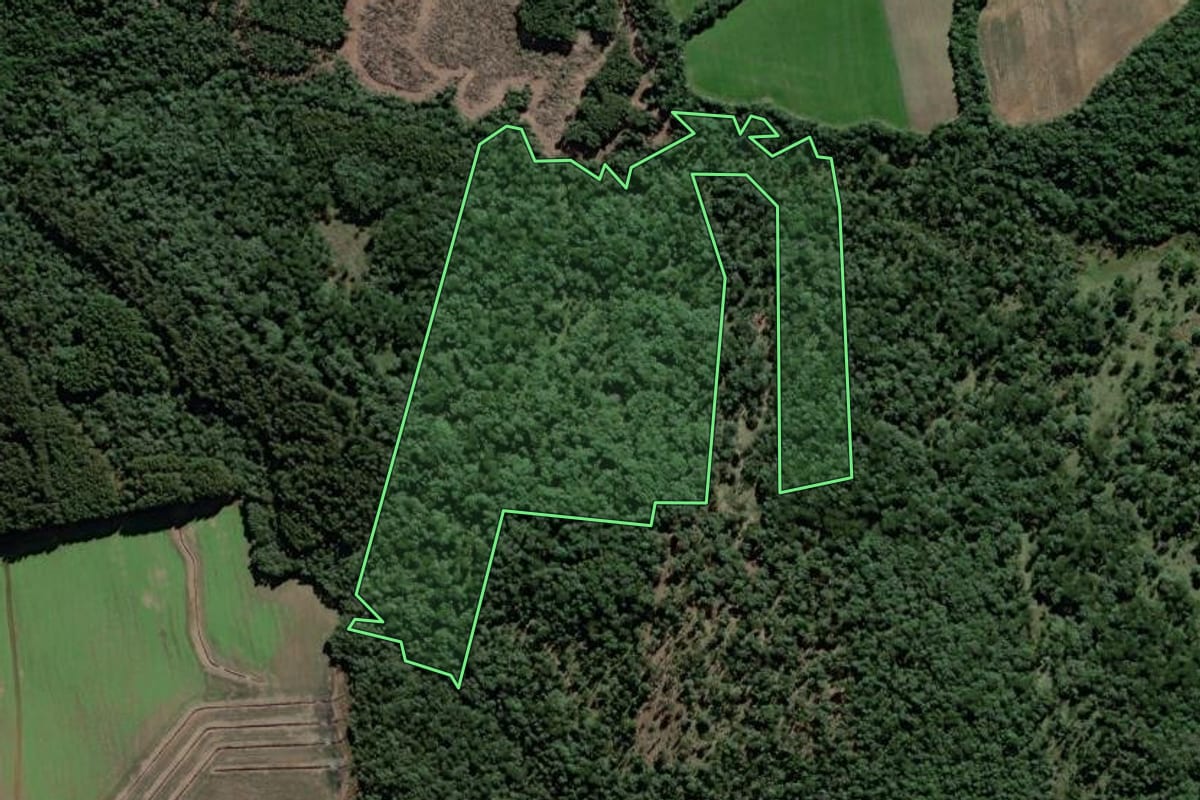 Imagem de satélite do imóvel rural em São Mateus do Sul (PR), com o contorno declarado no CAR desenhado por cima.