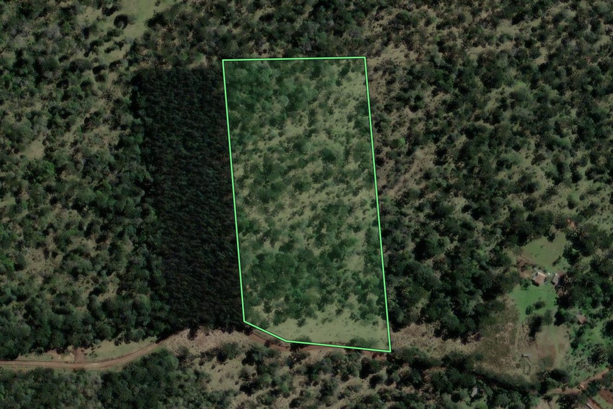 Imagem de satélite do imóvel rural em São Mateus do Sul (PR), com o contorno declarado no CAR desenhado por cima.