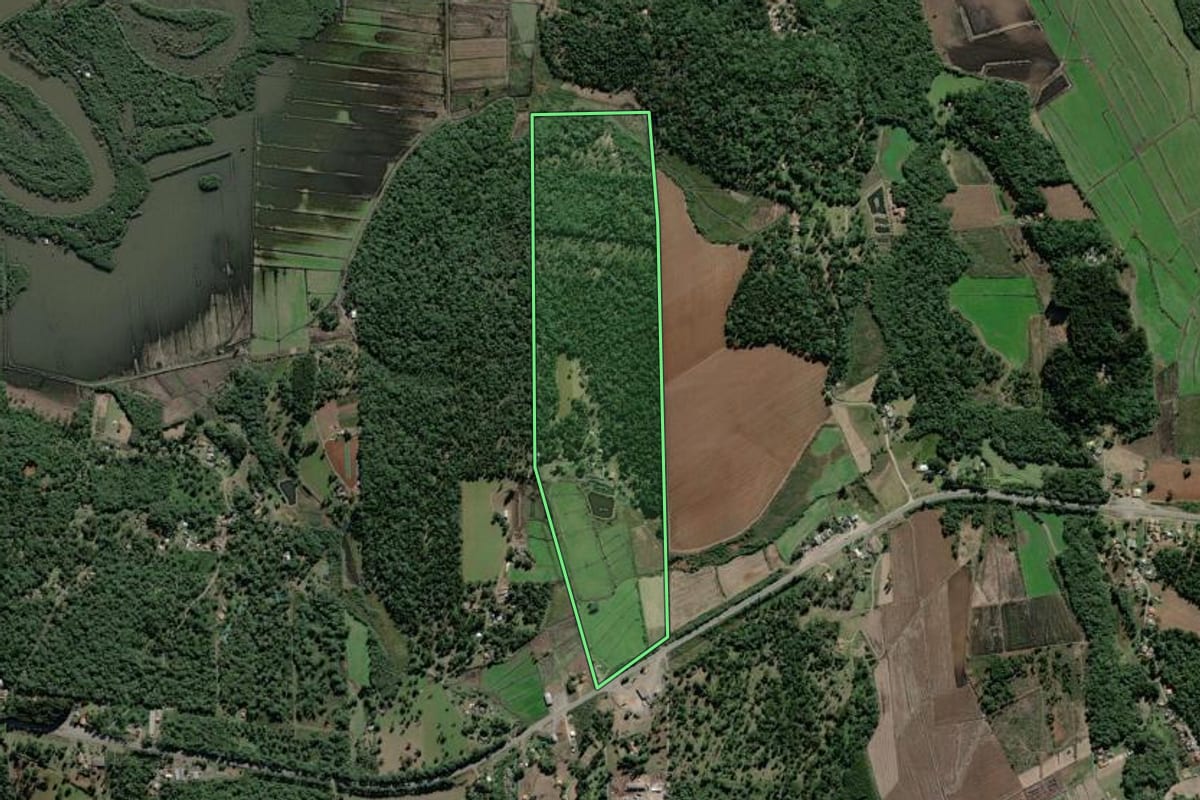 Imagem de satélite do imóvel rural em São Mateus do Sul (PR), com o contorno declarado no CAR desenhado por cima.