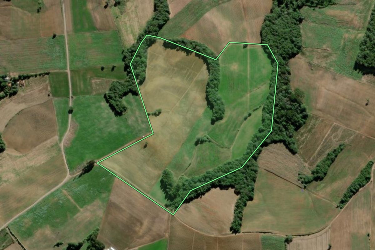 Imagem de satélite do imóvel rural em São Mateus do Sul (PR), com o contorno declarado no CAR desenhado por cima.