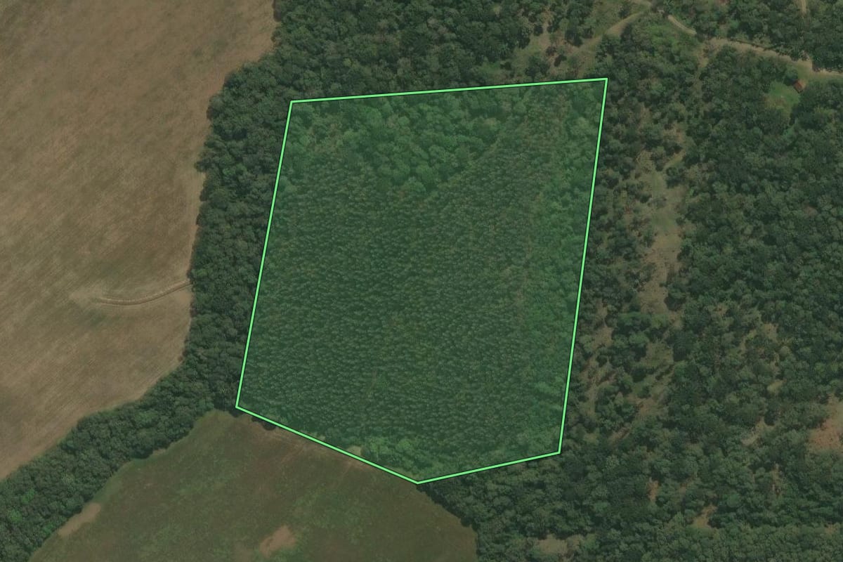 Imagem de satélite do imóvel rural em São Mateus do Sul (PR), com o contorno declarado no CAR desenhado por cima.