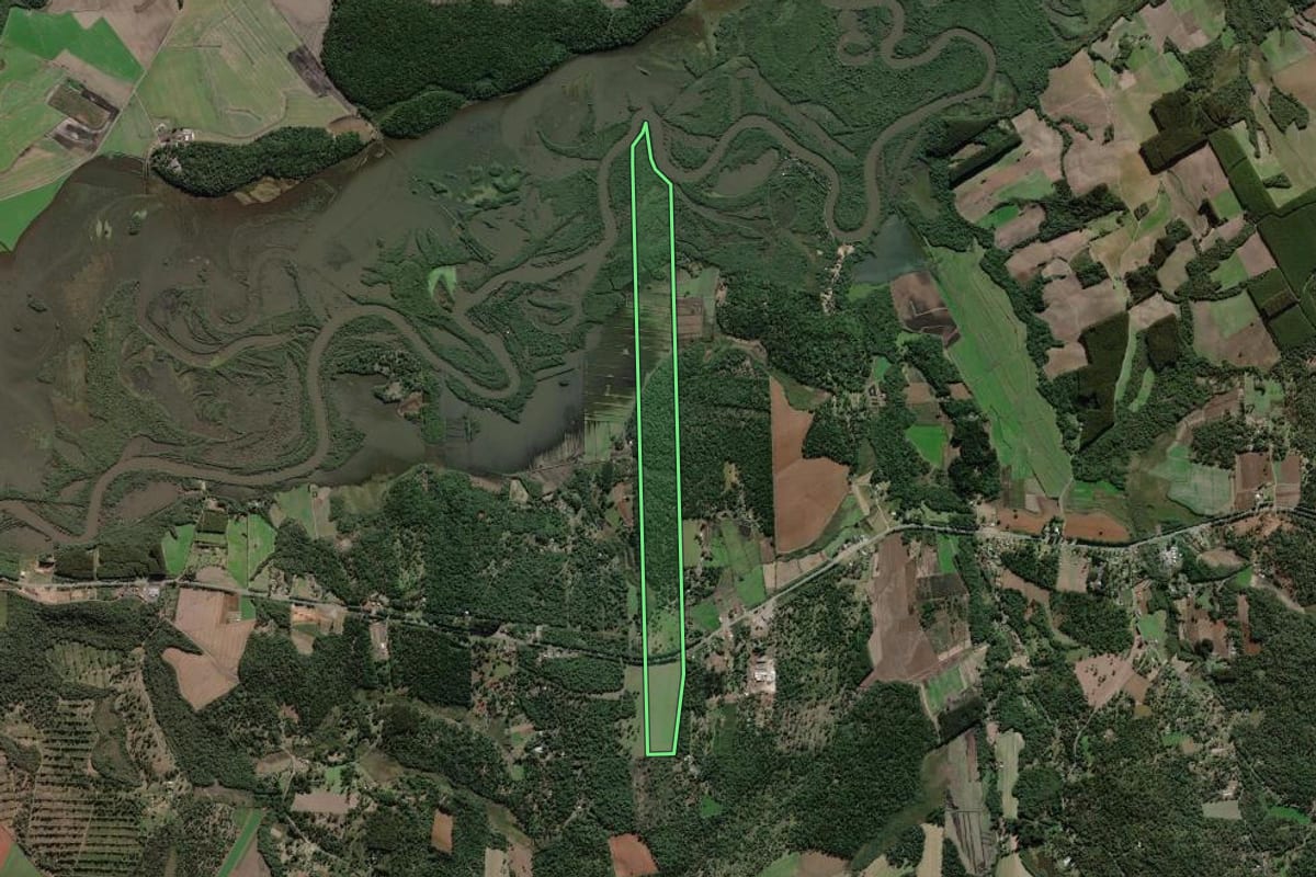 Imagem de satélite do imóvel rural em São Mateus do Sul (PR), com o contorno declarado no CAR desenhado por cima.