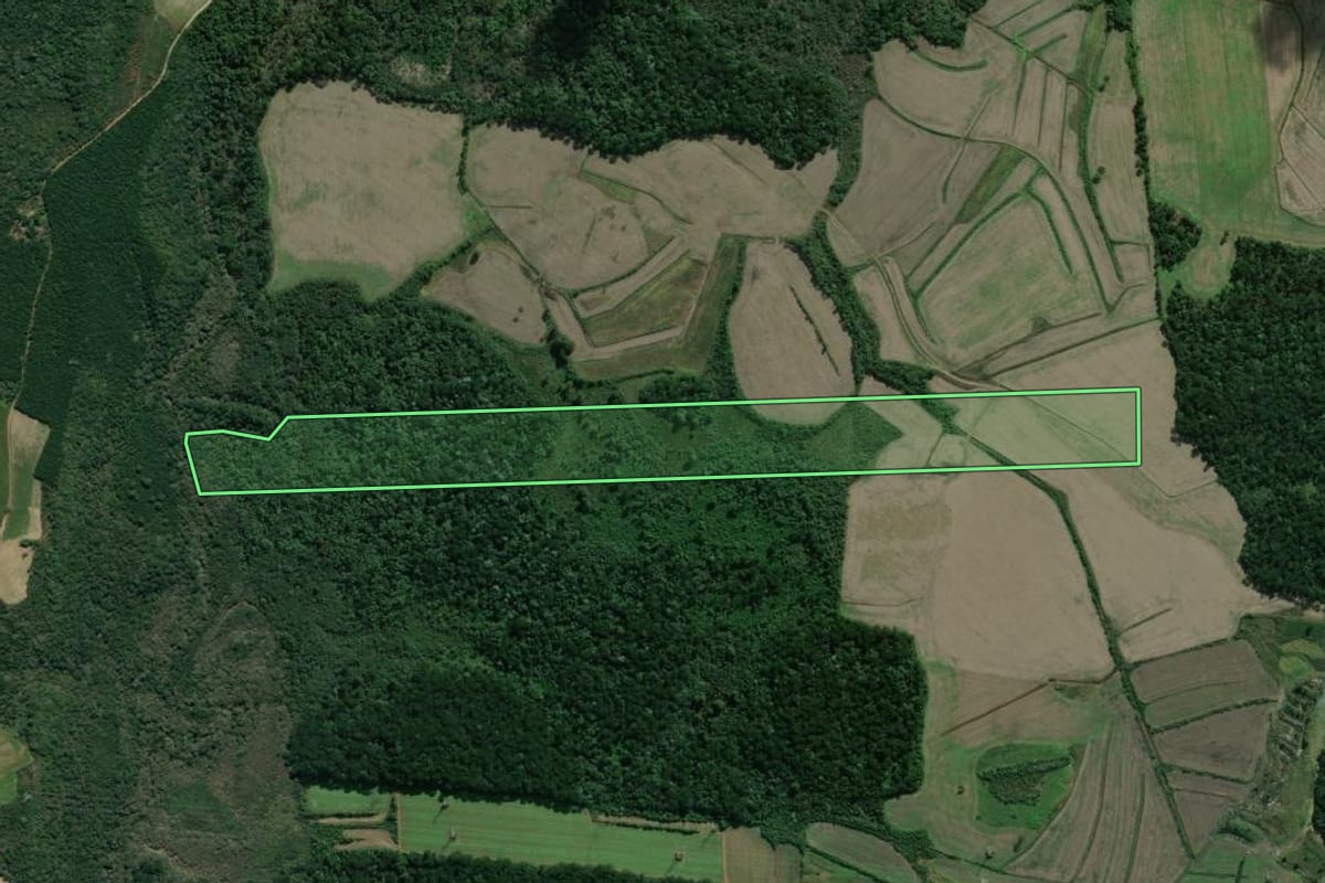 Imagem de satélite do imóvel rural em São Mateus do Sul (PR), com o contorno declarado no CAR desenhado por cima.