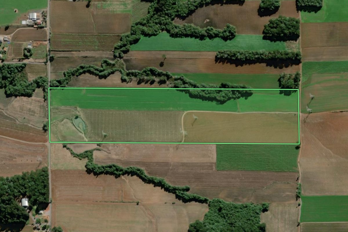 Imagem de satélite do imóvel rural em São Mateus do Sul (PR), com o contorno declarado no CAR desenhado por cima.