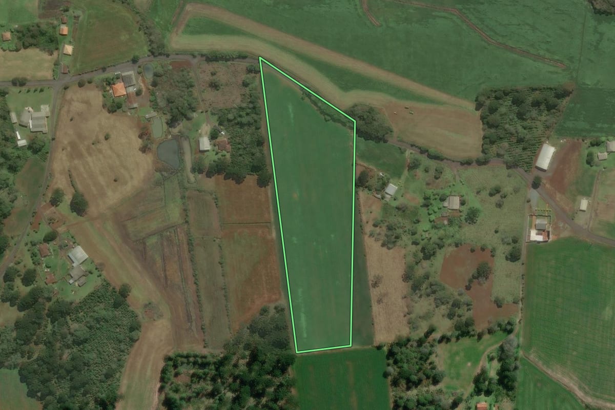Imagem de satélite do imóvel rural em São Mateus do Sul (PR), com o contorno declarado no CAR desenhado por cima.