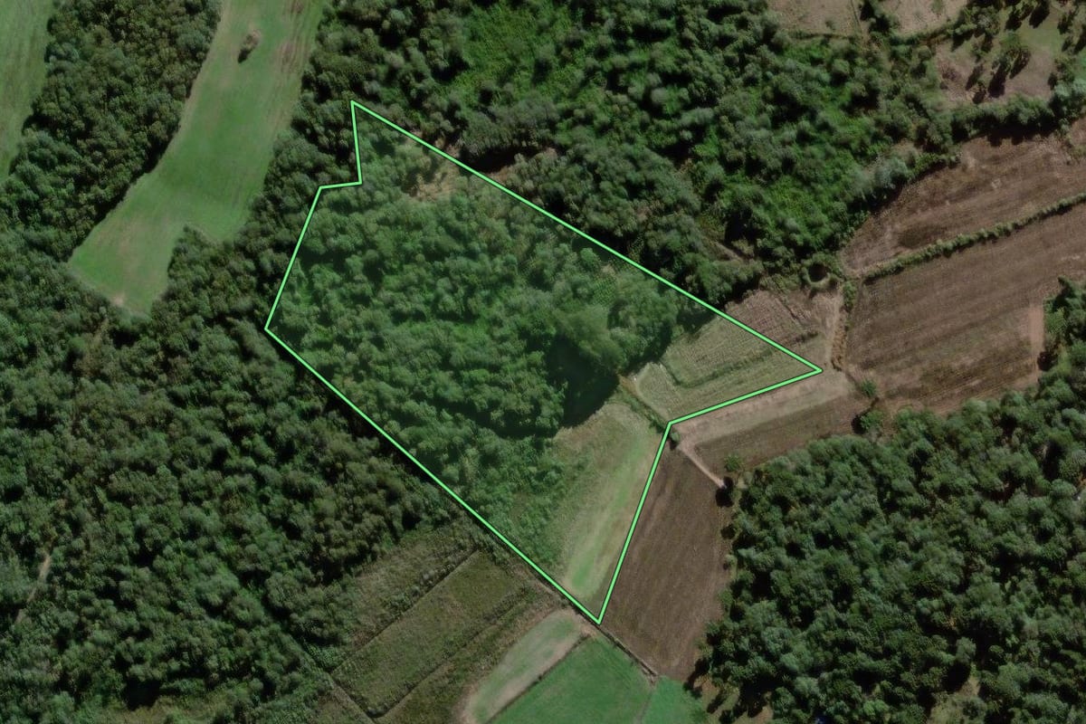 Imagem de satélite do imóvel rural em São Mateus do Sul (PR), com o contorno declarado no CAR desenhado por cima.