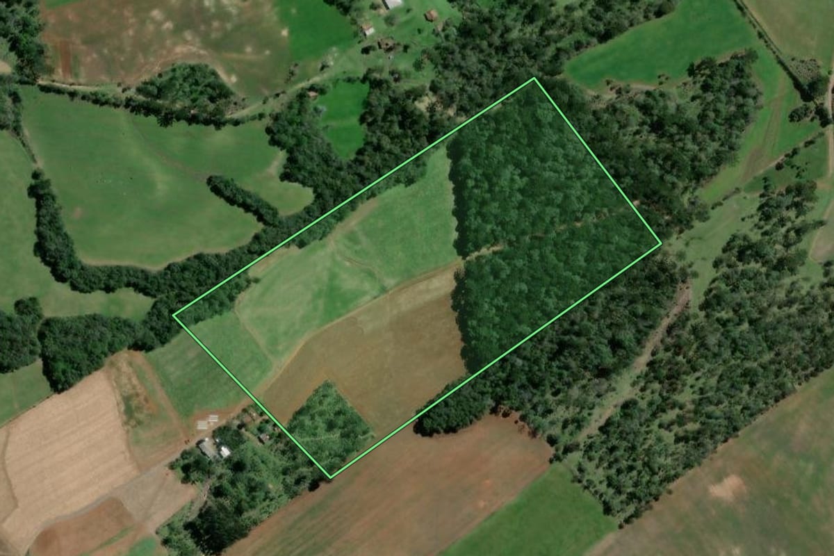 Imagem de satélite do imóvel rural em São Mateus do Sul (PR), com o contorno declarado no CAR desenhado por cima.