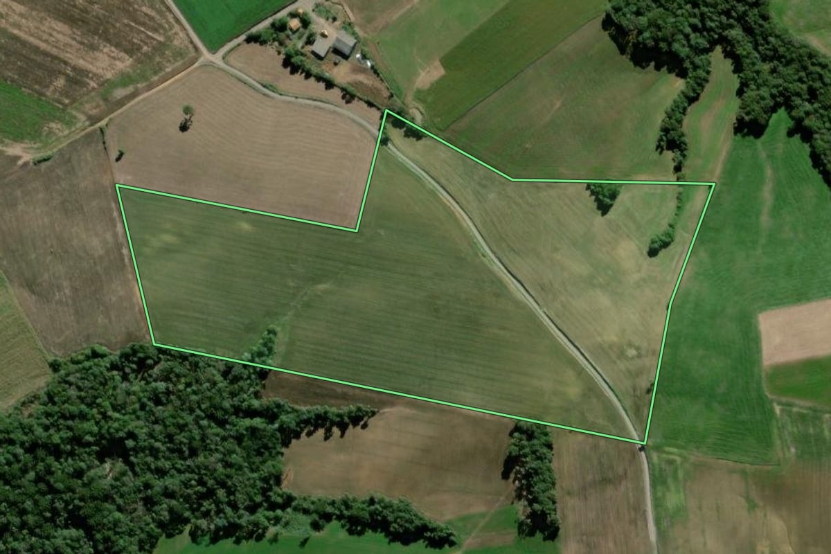 Imagem de satélite do imóvel rural em São Mateus do Sul (PR), com o contorno declarado no CAR desenhado por cima.