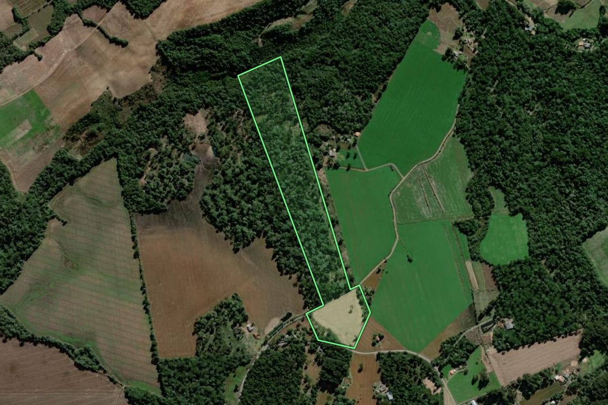 Imagem de satélite do imóvel rural em São Mateus do Sul (PR), com o contorno declarado no CAR desenhado por cima.