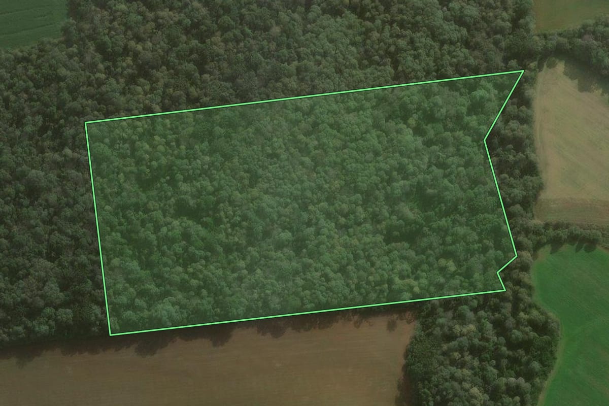 Imagem de satélite do imóvel rural em São Mateus do Sul (PR), com o contorno declarado no CAR desenhado por cima.