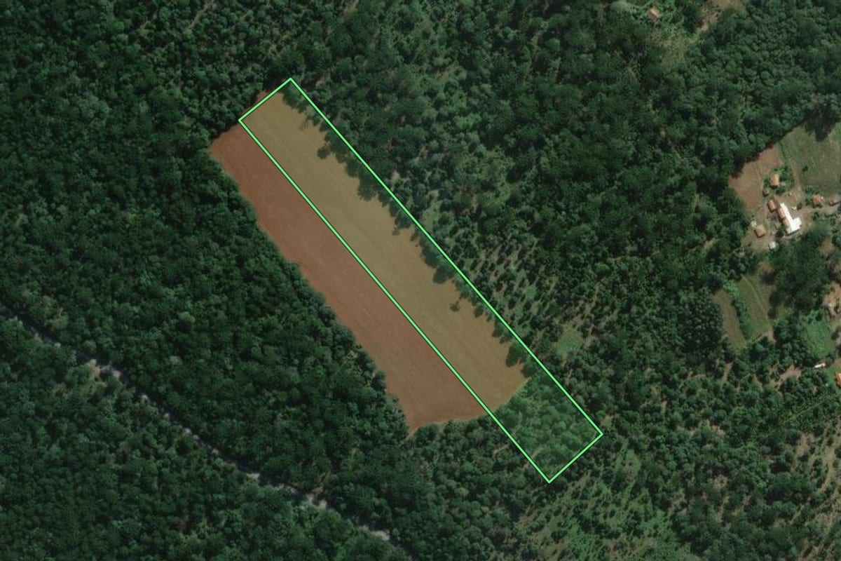 Imagem de satélite do imóvel rural em São Mateus do Sul (PR), com o contorno declarado no CAR desenhado por cima.