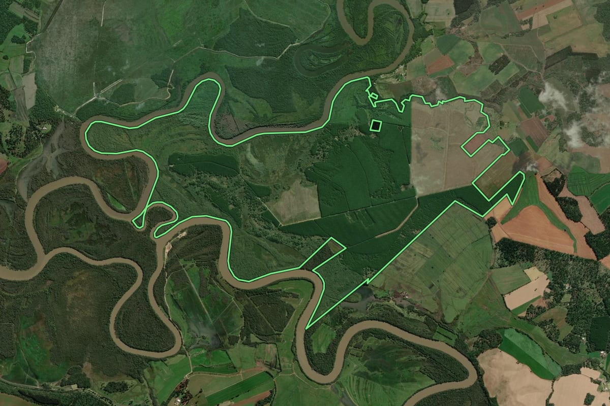 Imagem de satélite do imóvel rural em São Mateus do Sul (PR), com o contorno declarado no CAR desenhado por cima.