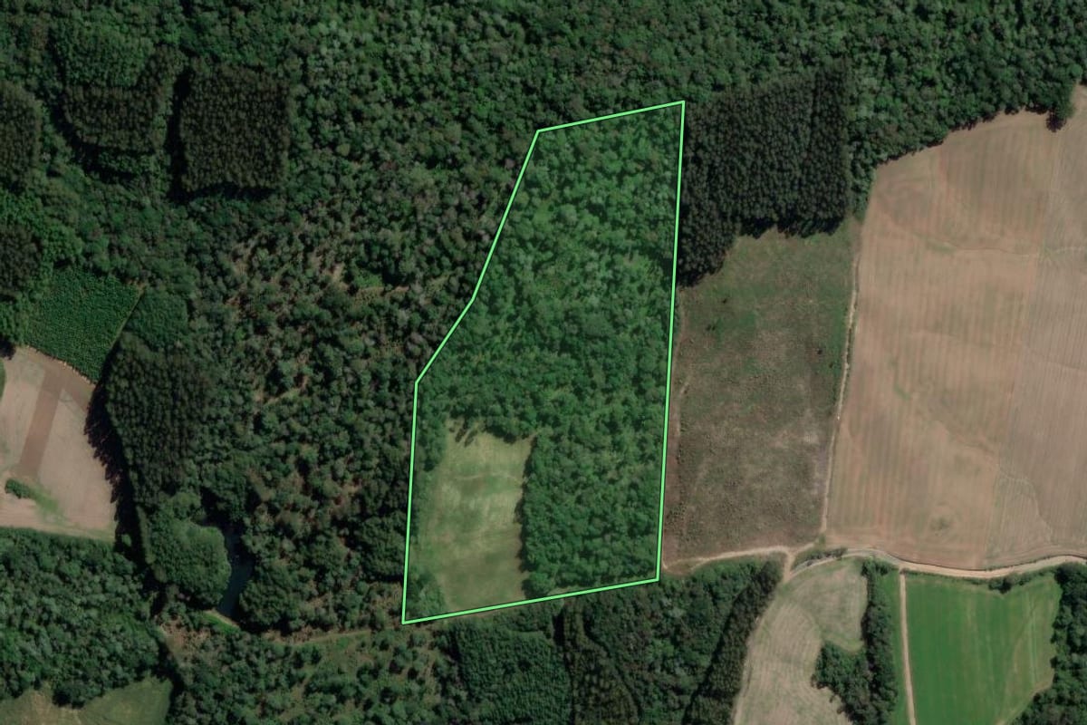 Imagem de satélite do imóvel rural em São Mateus do Sul (PR), com o contorno declarado no CAR desenhado por cima.