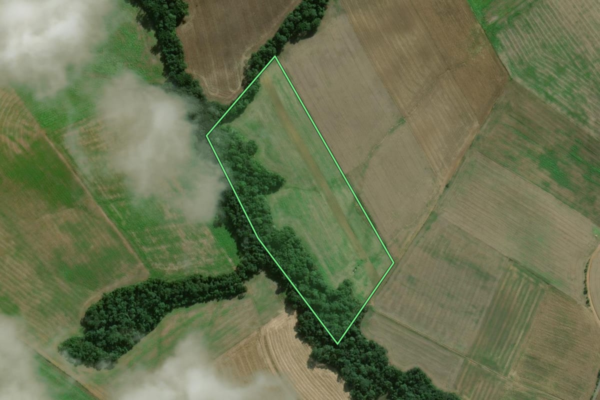 Imagem de satélite do imóvel rural em São Mateus do Sul (PR), com o contorno declarado no CAR desenhado por cima.