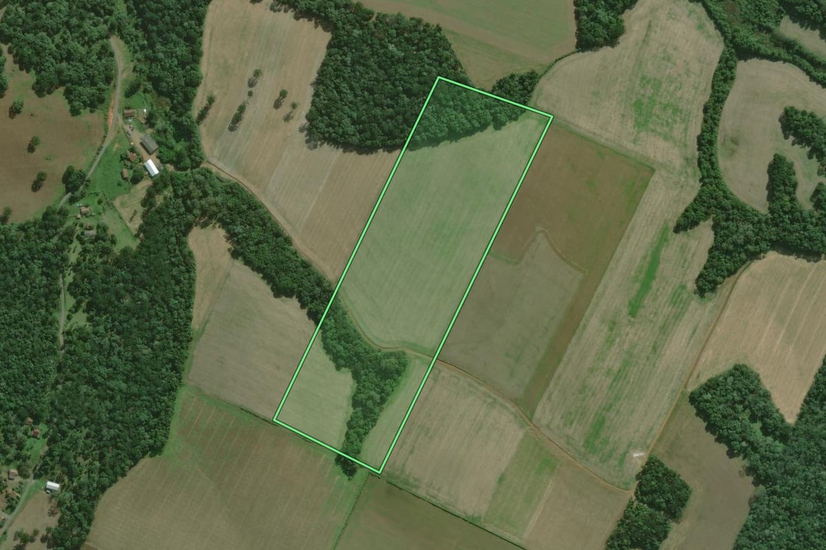 Imagem de satélite do imóvel rural em São Mateus do Sul (PR), com o contorno declarado no CAR desenhado por cima.