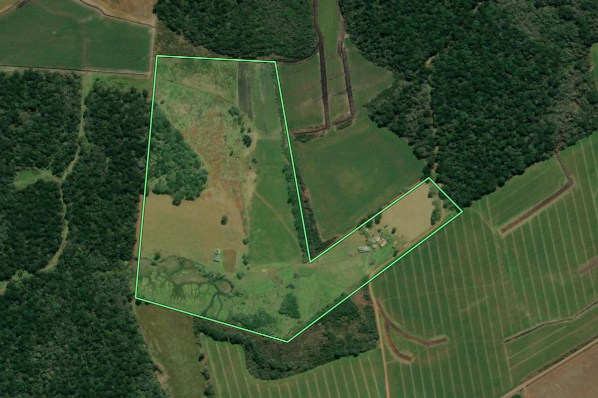 Imagem de satélite do imóvel rural em São Mateus do Sul (PR), com o contorno declarado no CAR desenhado por cima.