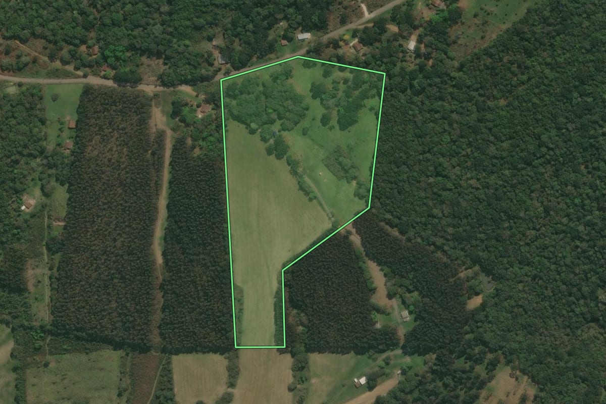 Imagem de satélite do imóvel rural em São Mateus do Sul (PR), com o contorno declarado no CAR desenhado por cima.