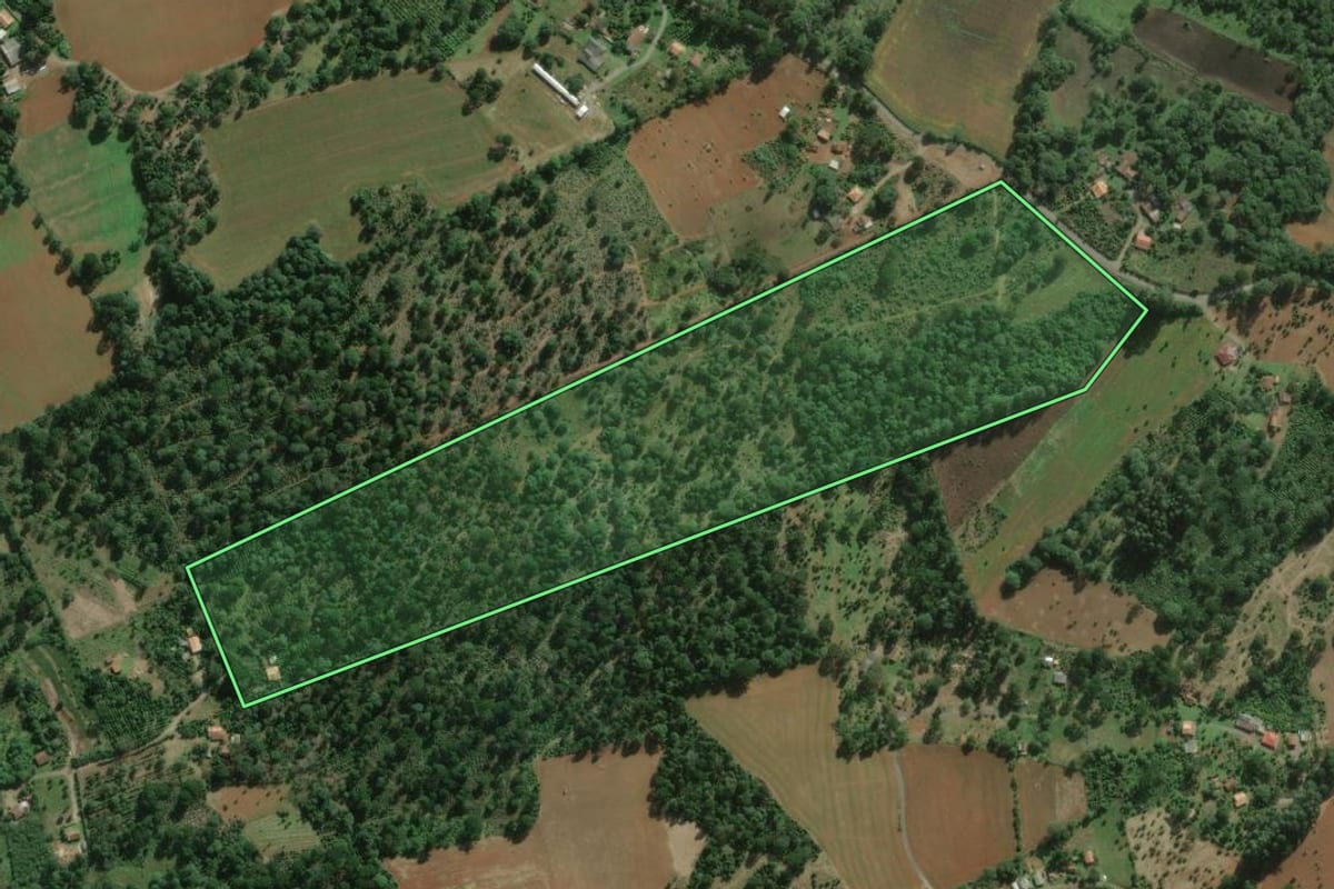 Imagem de satélite do imóvel rural em São Mateus do Sul (PR), com o contorno declarado no CAR desenhado por cima.