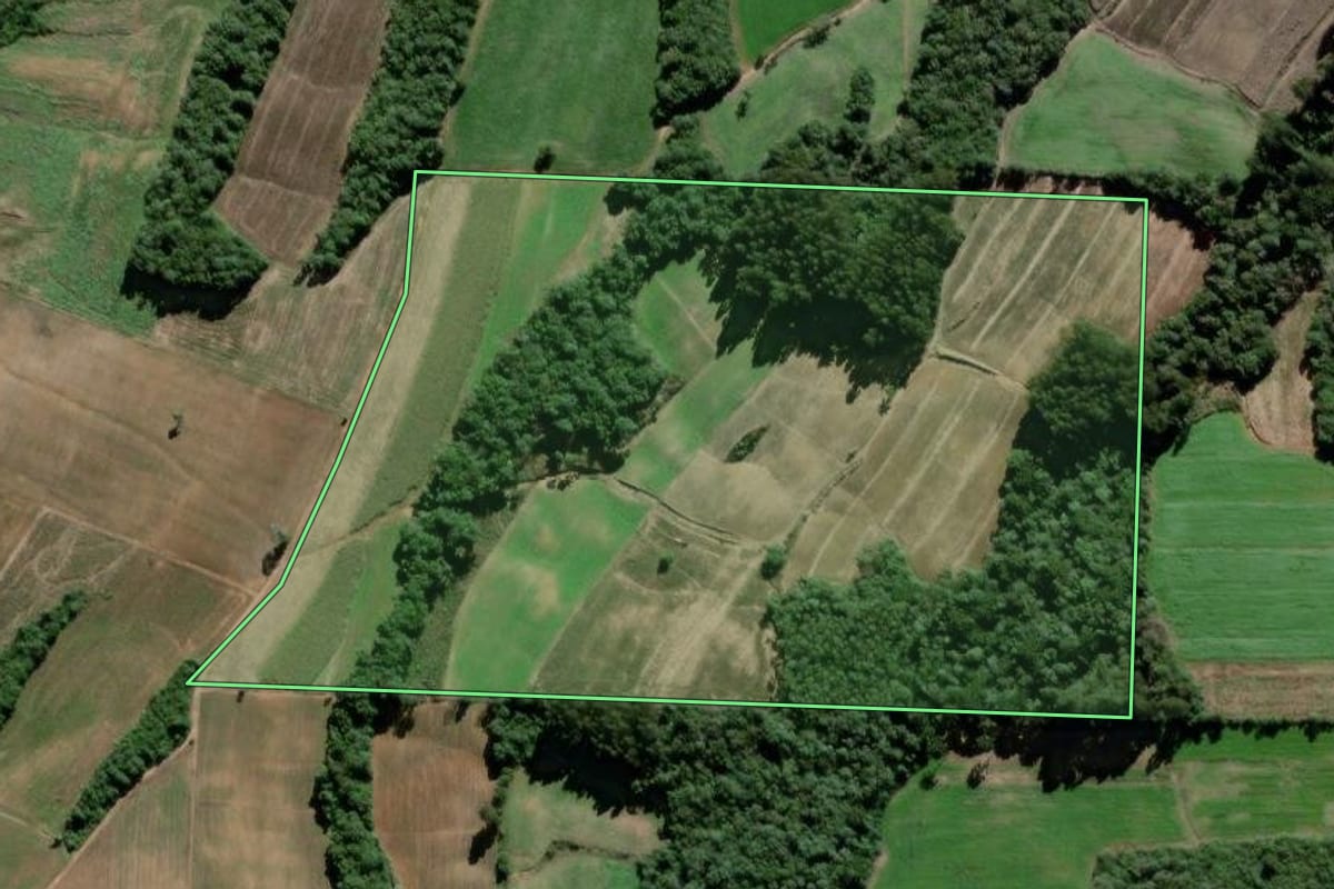 Imagem de satélite do imóvel rural em São Mateus do Sul (PR), com o contorno declarado no CAR desenhado por cima.