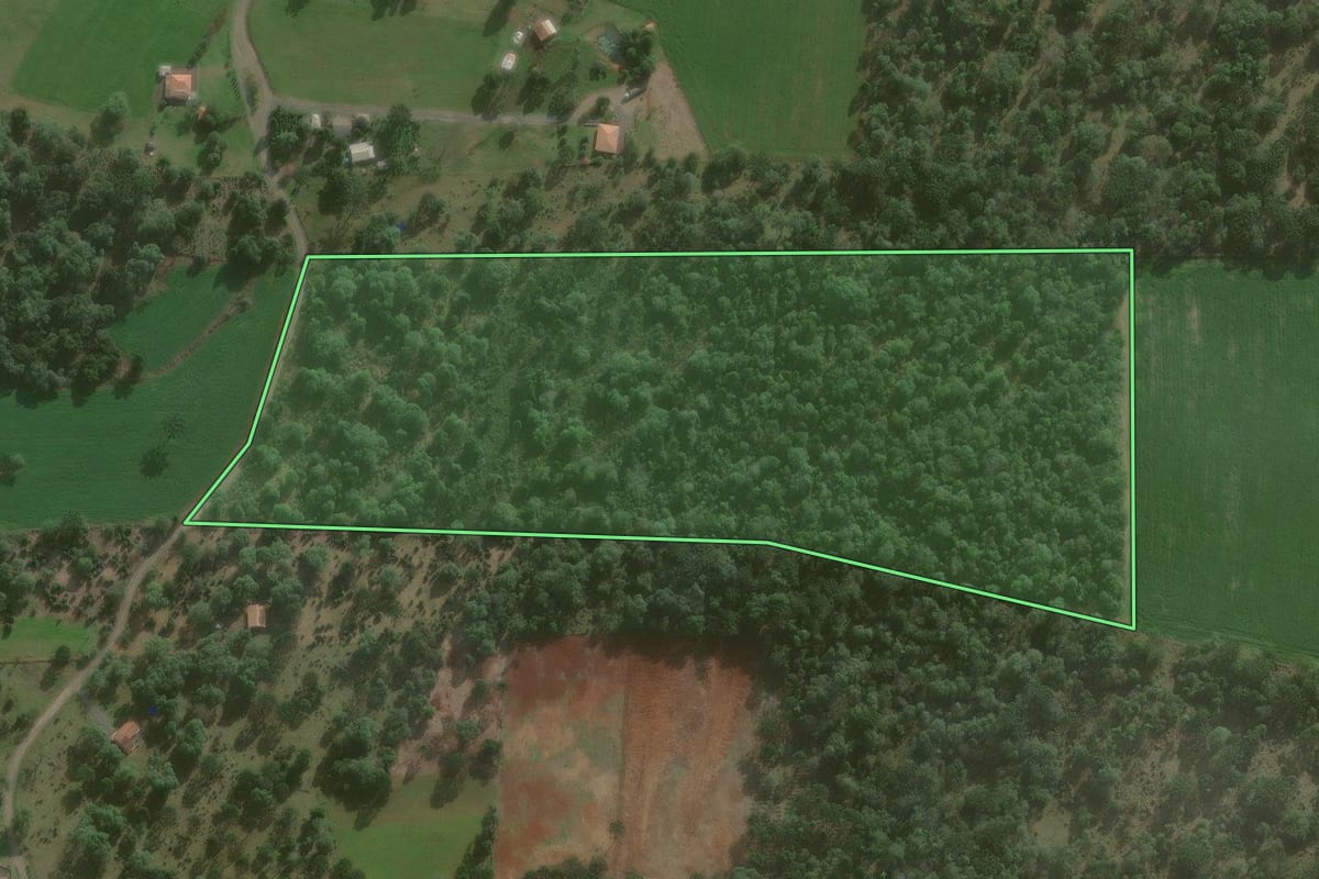 Imagem de satélite do imóvel rural em São Mateus do Sul (PR), com o contorno declarado no CAR desenhado por cima.