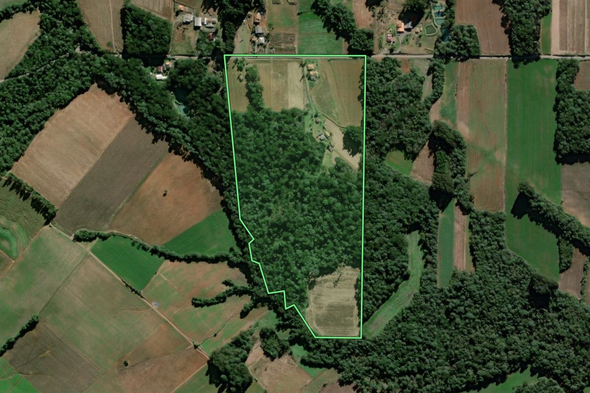 Imagem de satélite do imóvel rural em São Mateus do Sul (PR), com o contorno declarado no CAR desenhado por cima.