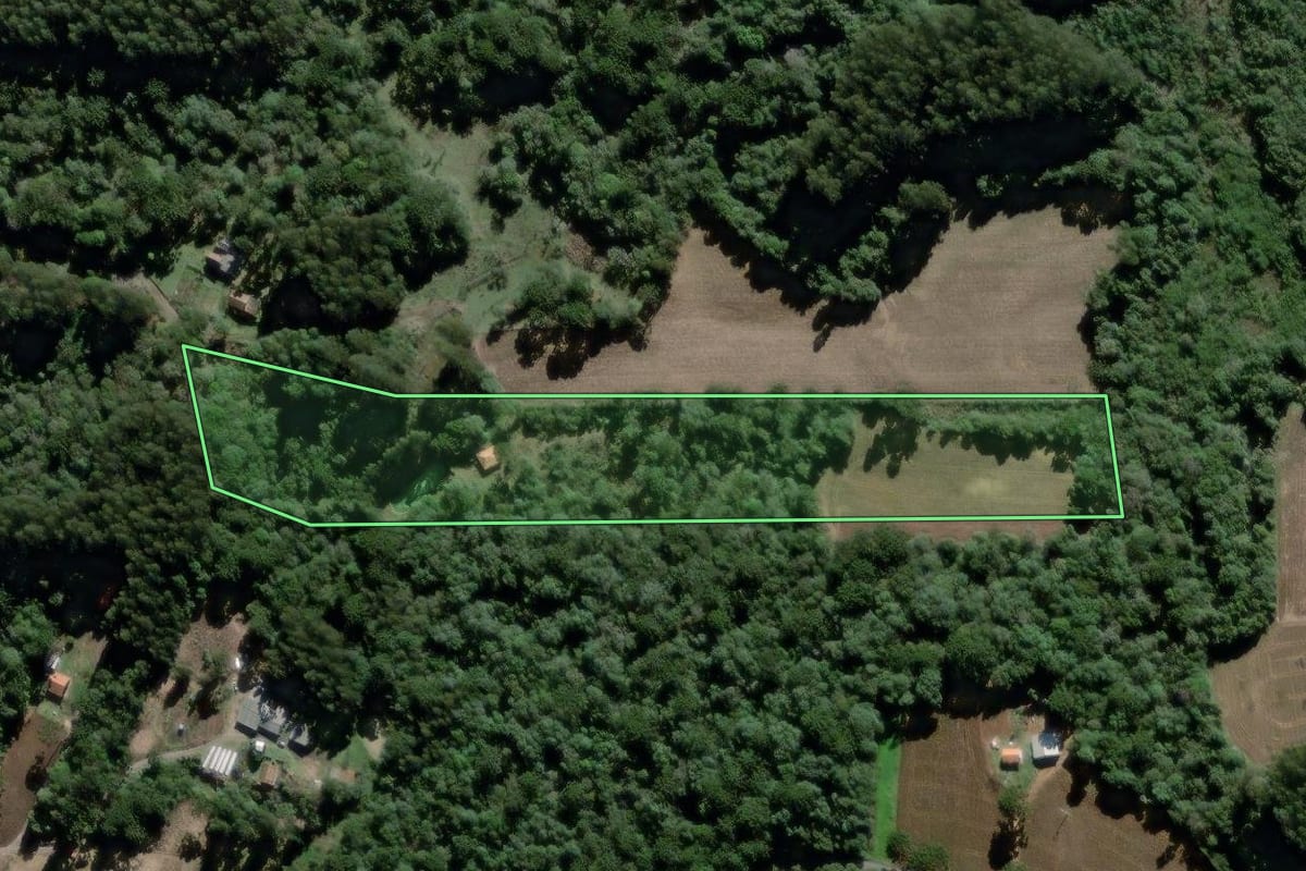 Imagem de satélite do imóvel rural em São Mateus do Sul (PR), com o contorno declarado no CAR desenhado por cima.