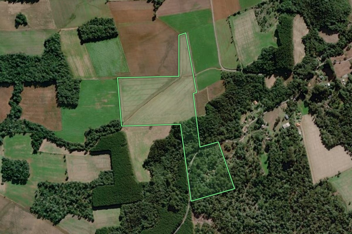 Imagem de satélite do imóvel rural em São Mateus do Sul (PR), com o contorno declarado no CAR desenhado por cima.