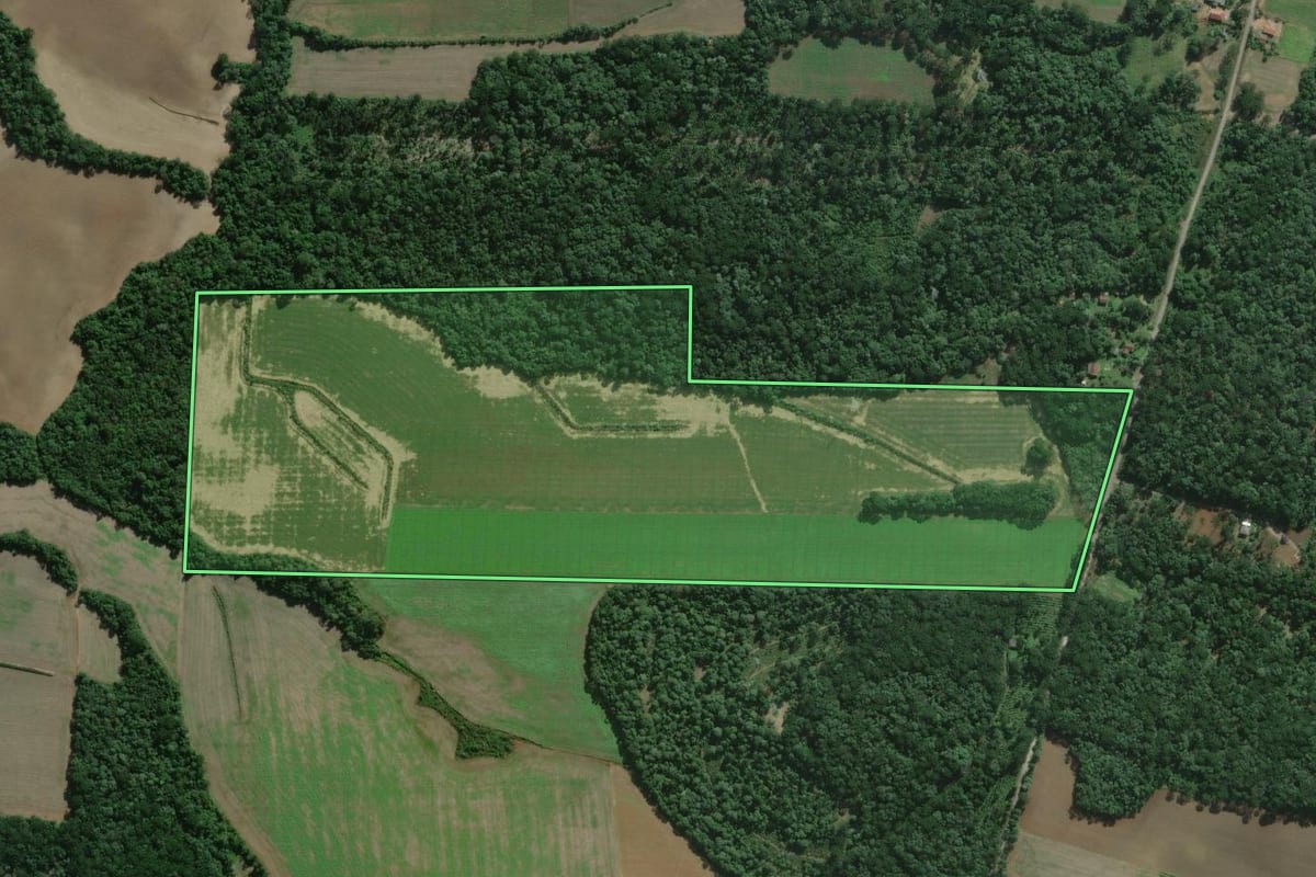 Imagem de satélite do imóvel rural em São Mateus do Sul (PR), com o contorno declarado no CAR desenhado por cima.