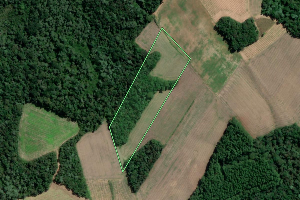 Imagem de satélite do imóvel rural em São Mateus do Sul (PR), com o contorno declarado no CAR desenhado por cima.