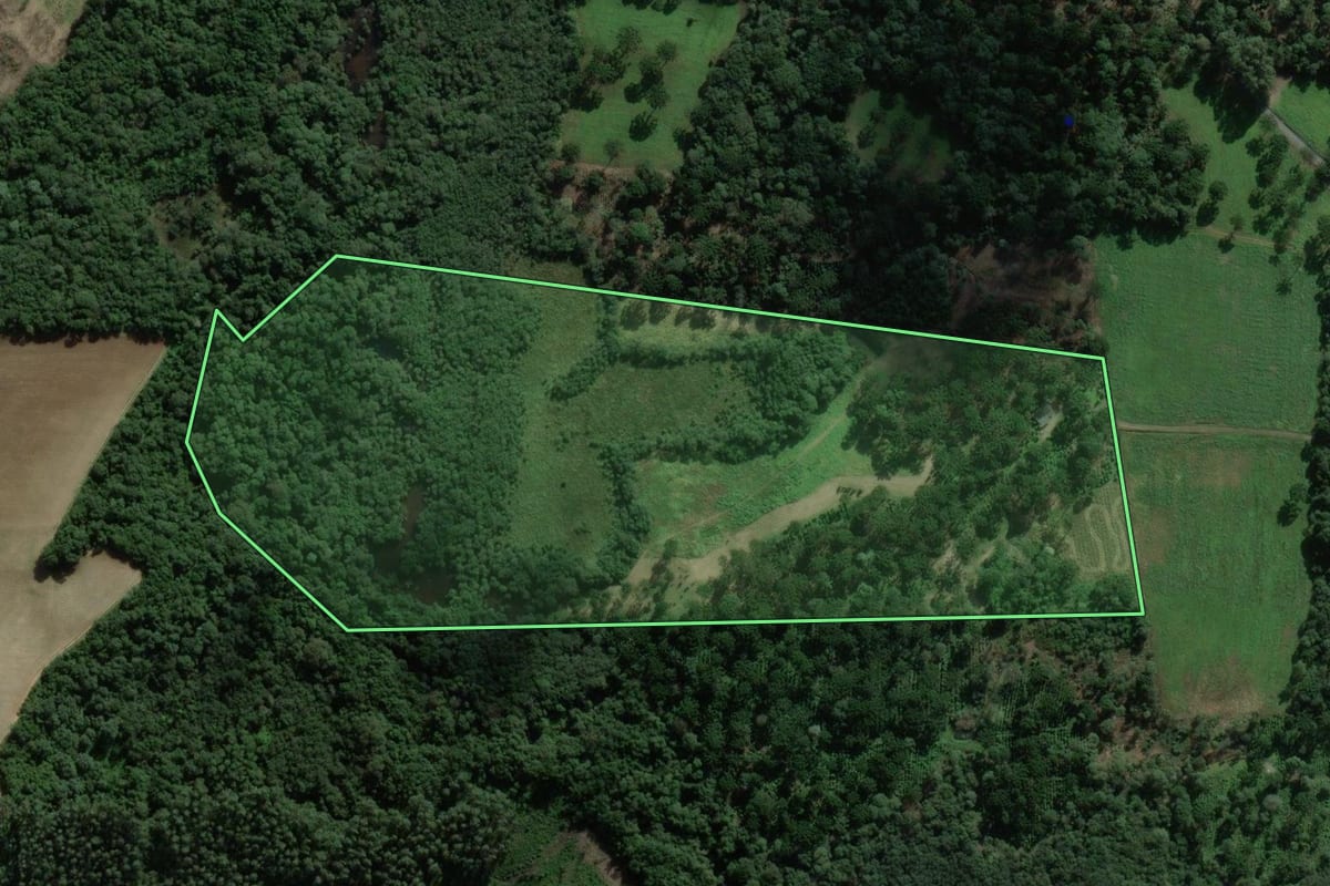 Imagem de satélite do imóvel rural em São Mateus do Sul (PR), com o contorno declarado no CAR desenhado por cima.
