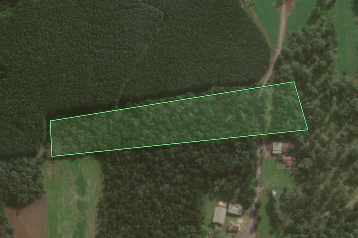 Imagem de satélite do imóvel rural em São Mateus do Sul (PR), com o contorno declarado no CAR desenhado por cima.