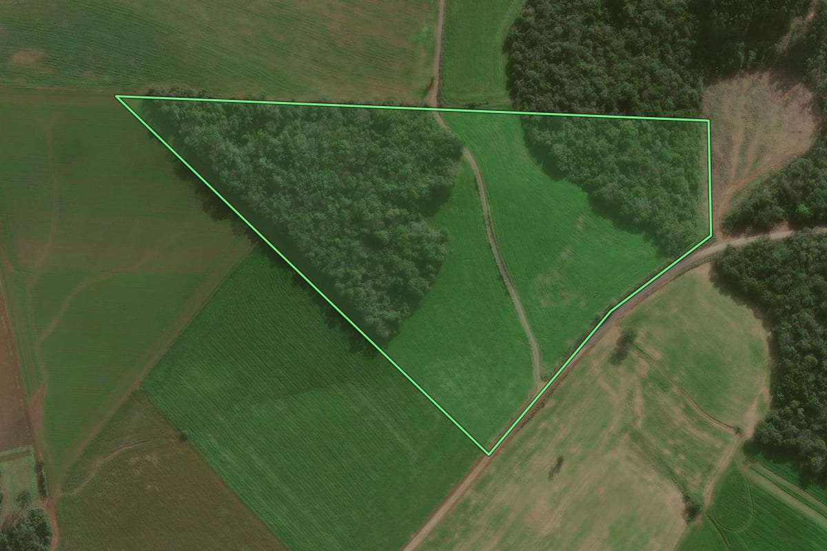 Imagem de satélite do imóvel rural em São Mateus do Sul (PR), com o contorno declarado no CAR desenhado por cima.