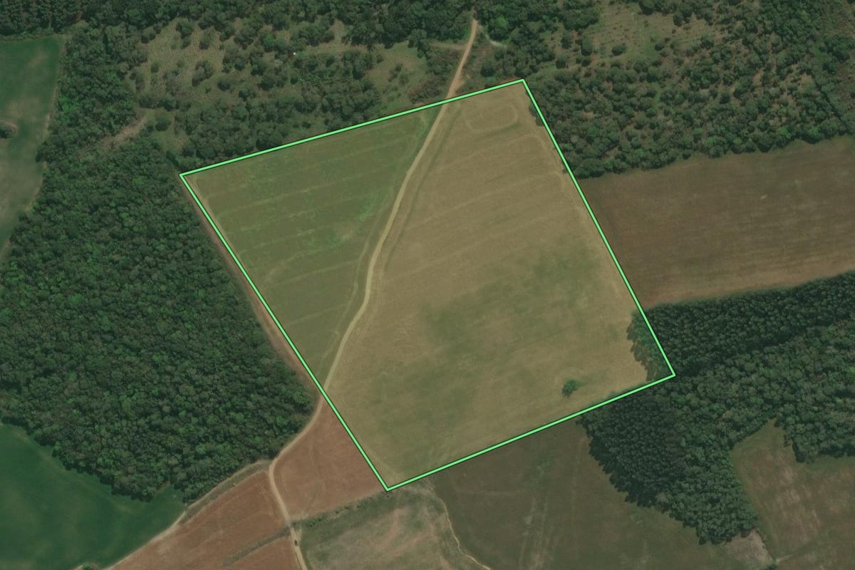 Imagem de satélite do imóvel rural em São Mateus do Sul (PR), com o contorno declarado no CAR desenhado por cima.