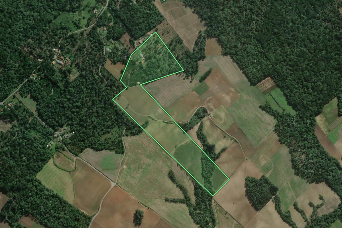 Imagem de satélite do imóvel rural em São Mateus do Sul (PR), com o contorno declarado no CAR desenhado por cima.