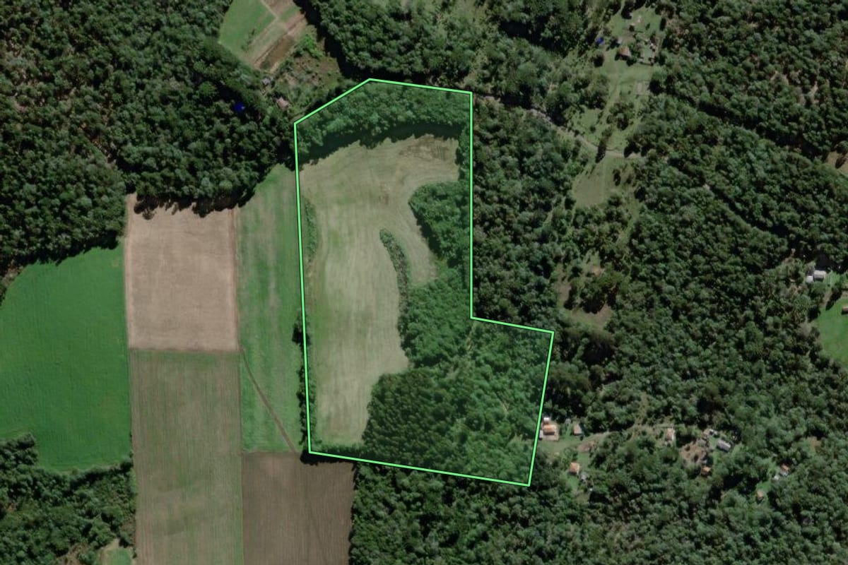 Imagem de satélite do imóvel rural em São Mateus do Sul (PR), com o contorno declarado no CAR desenhado por cima.