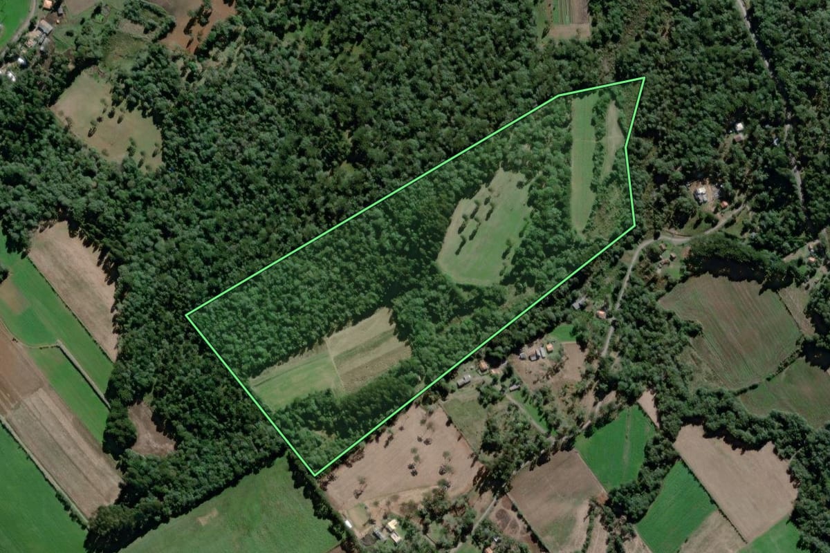 Imagem de satélite do imóvel rural em São Mateus do Sul (PR), com o contorno declarado no CAR desenhado por cima.