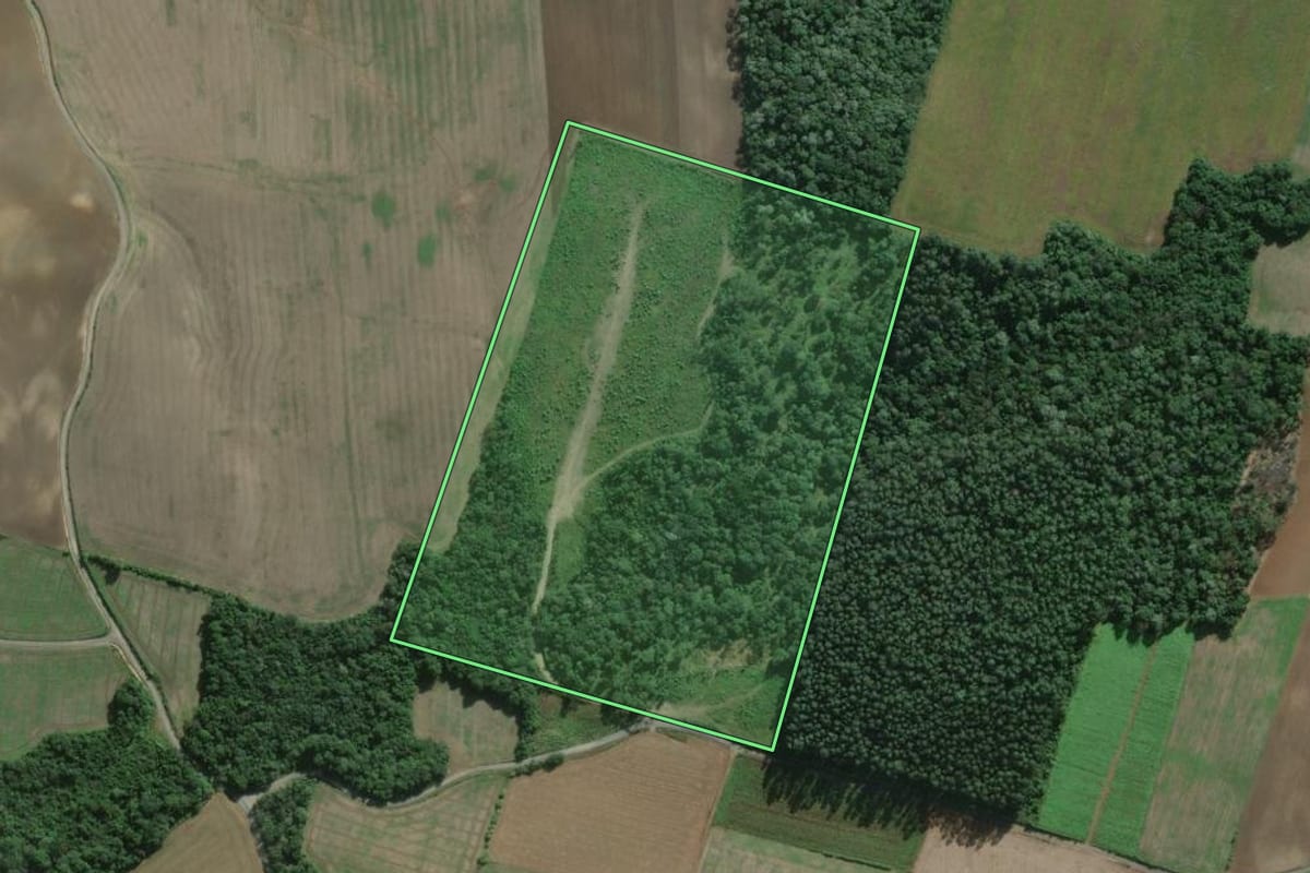 Imagem de satélite do imóvel rural em São Mateus do Sul (PR), com o contorno declarado no CAR desenhado por cima.