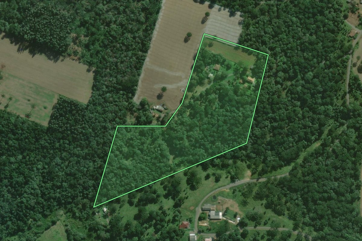 Imagem de satélite do imóvel rural em São Mateus do Sul (PR), com o contorno declarado no CAR desenhado por cima.