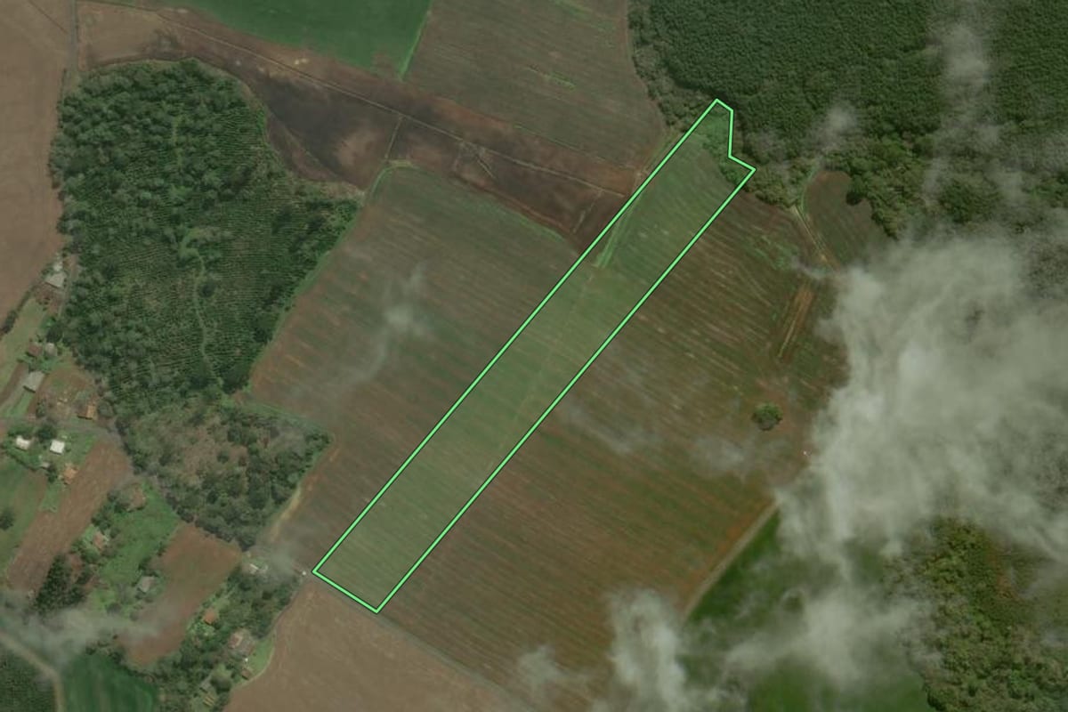 Imagem de satélite do imóvel rural em São Mateus do Sul (PR), com o contorno declarado no CAR desenhado por cima.