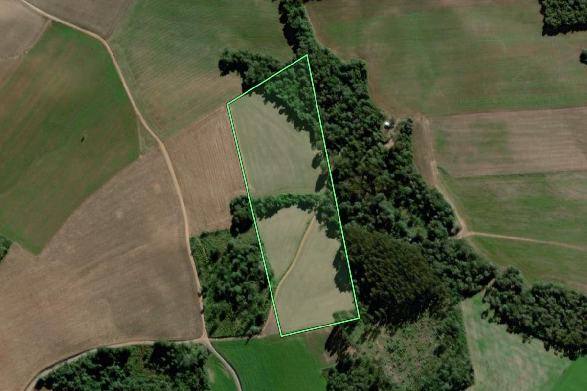 Imagem de satélite do imóvel rural em São Mateus do Sul (PR), com o contorno declarado no CAR desenhado por cima.