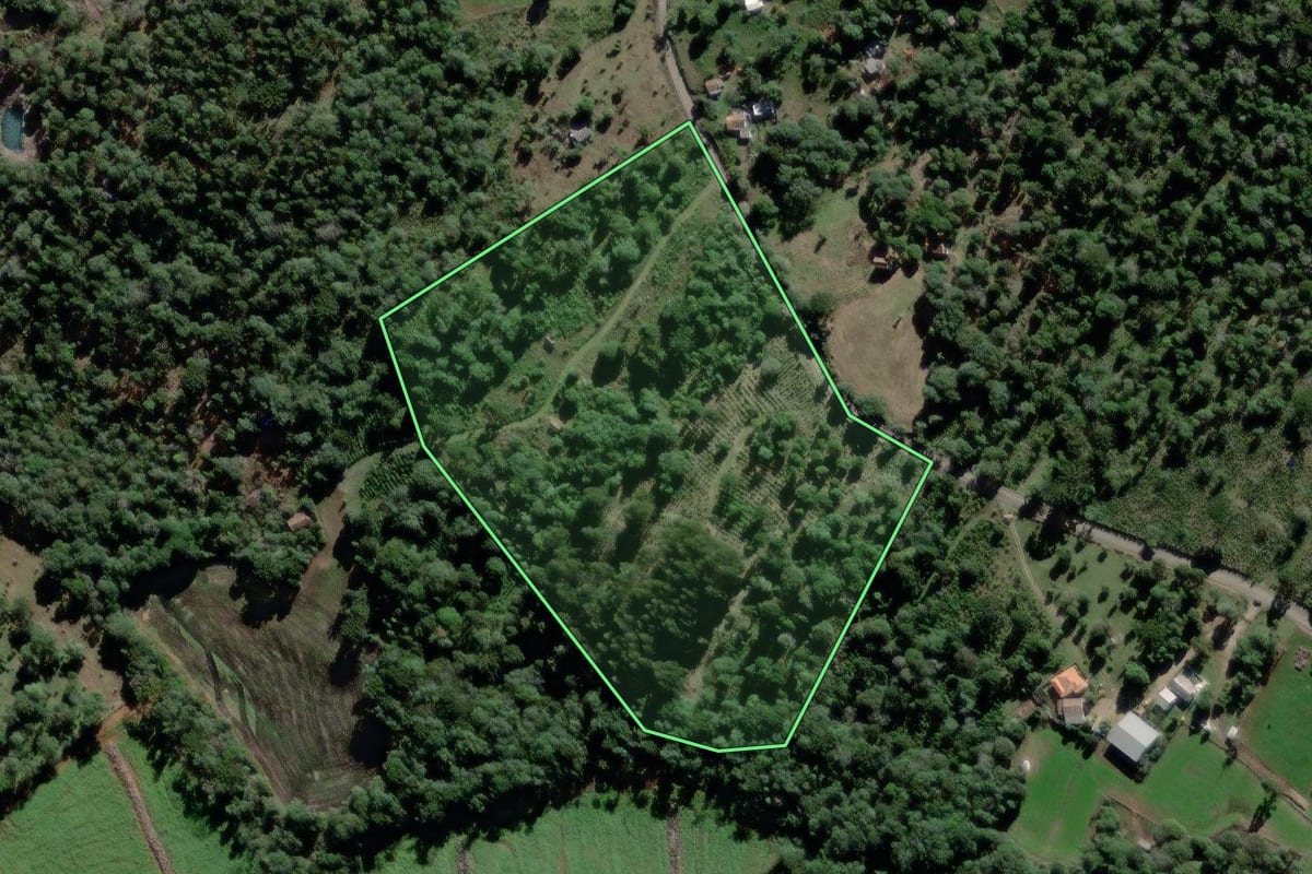 Imagem de satélite do imóvel rural em São Mateus do Sul (PR), com o contorno declarado no CAR desenhado por cima.