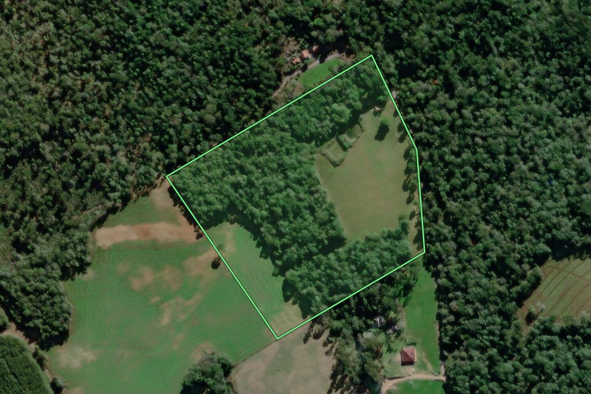 Imagem de satélite do imóvel rural em São Mateus do Sul (PR), com o contorno declarado no CAR desenhado por cima.