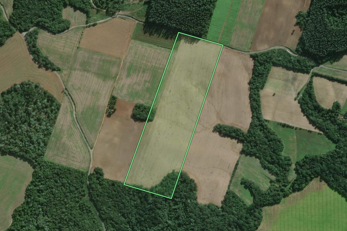 Imagem de satélite do imóvel rural em São Mateus do Sul (PR), com o contorno declarado no CAR desenhado por cima.
