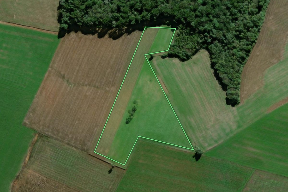Imagem de satélite do imóvel rural em São Mateus do Sul (PR), com o contorno declarado no CAR desenhado por cima.